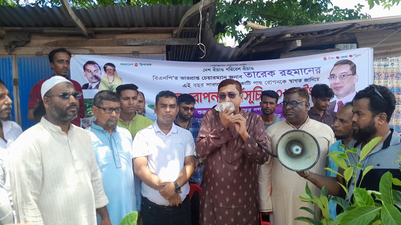 লক্ষ্মীপুরের জিয়াউর রহমান সমাজ কল্যাণ গাছ রোপণ 