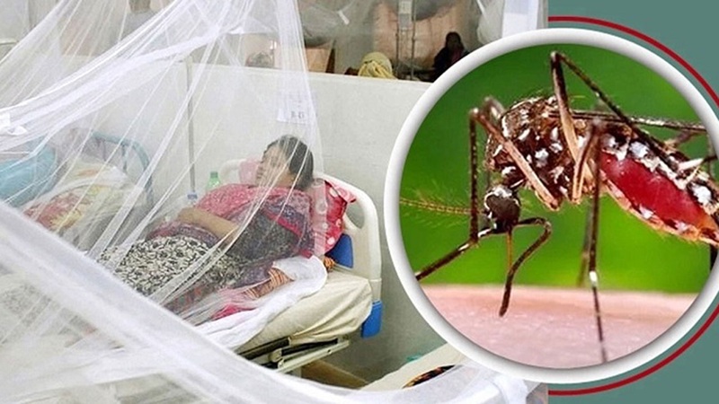 ডেঙ্গুতে একদিনেই ৫ জনের মৃত্যু