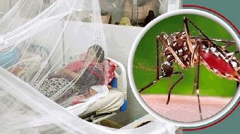 ডেঙ্গুতে একদিনেই ৫ জনের মৃত্যু