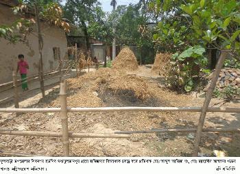 ফুলবাড়ীতে জমিজমার বিরোধকে কেন্দ্র করে প্রতিপক্ষের খড়ের পালায় আগুন