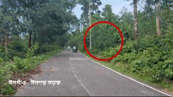 ঈদগাঁও-ঈদগড় সড়কে অস্ত্রের মুখে তিন ব্যবসায়ীকে অপহরণ