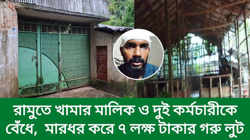 রামুতে অস্ত্রের মুখে মালিক ও  কর্মচারীদের বেঁধে  খামার থেকে ৭ লক্ষ্য টাকার  গরু লুট